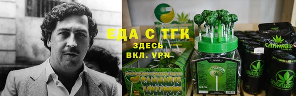стаф Нея