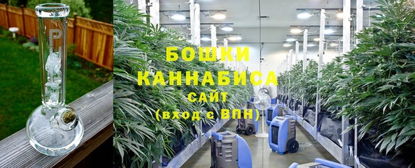 стаф Нея