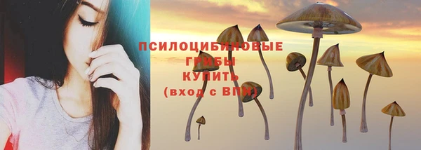 соль ск Надым