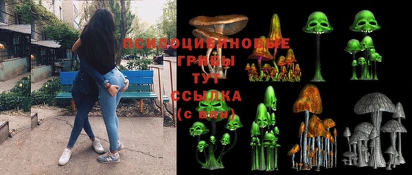 стаф Нея