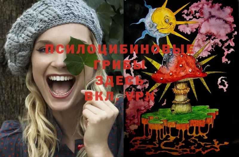 Галлюциногенные грибы Psilocybe  Карабаш 