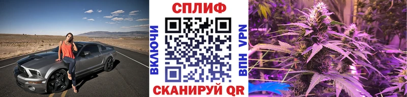 купить   Карабаш  Канабис OG Kush 